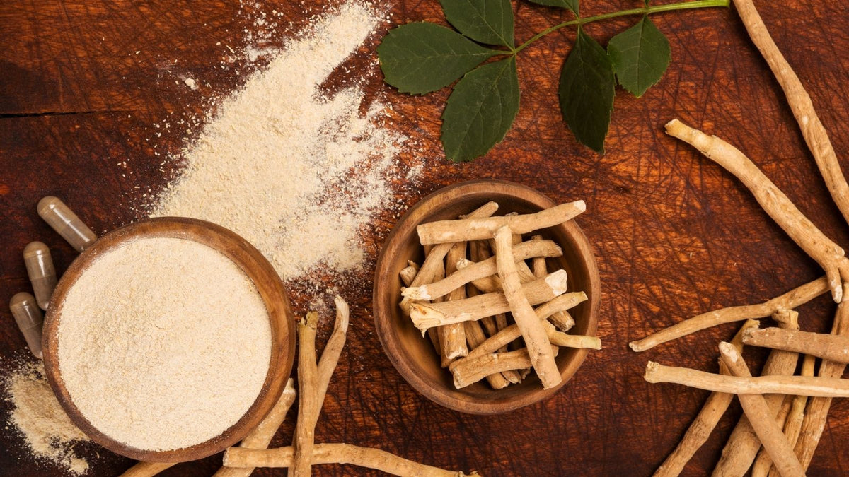 Ashwagandha Benefits: A Complete Guide to Ayurveda's Most Popular Herb